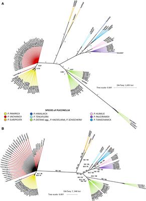 Hybrids as mirrors of the past: genomic footprints reveal spatio-temporal dynamics and extinction risk of alpine extremophytes in the mountains of Central Asia